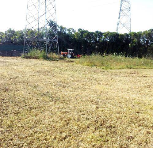terreno agricolo in vendita a Latina in zona Borgo Santa Maria