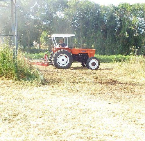 terreno agricolo in vendita a Latina in zona Borgo Santa Maria