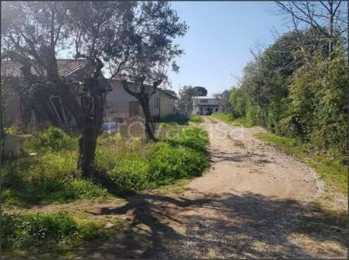 locale di sgombero in vendita a Latina in zona Borgo Santa Maria