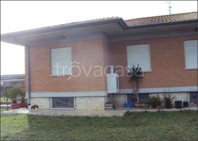 esavano in vendita a Latina in zona Foce Verde
