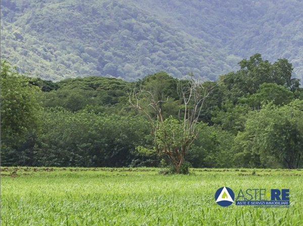 terreno agricolo in vendita a Latina