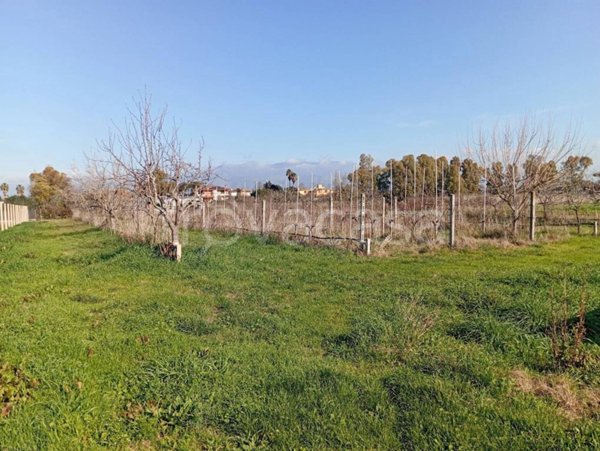 terreno agricolo in vendita a Latina in zona Borgo San Michele