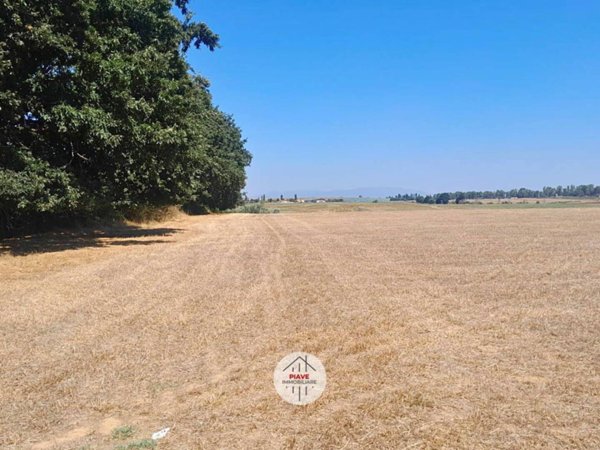 terreno agricolo in vendita a Latina in zona Borgo Bainsizza