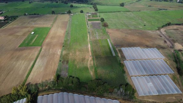 terreno agricolo in vendita a Latina in zona Borgo Montello