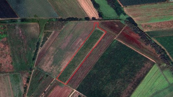 terreno agricolo in vendita a Latina in zona Chiesuola