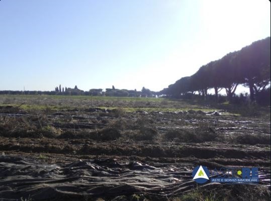terreno agricolo in vendita a Latina