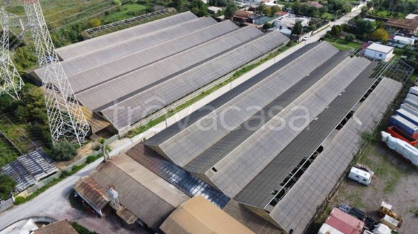 terreno agricolo in vendita a Latina in zona Foce Verde