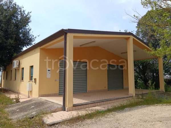 terreno agricolo in vendita a Latina in zona Latina Scalo