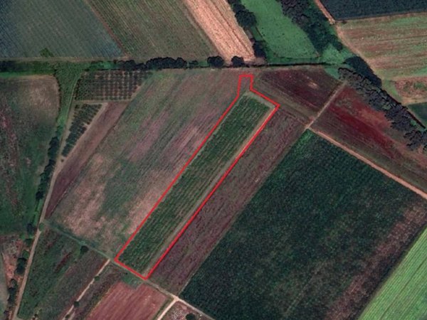 terreno agricolo in vendita a Latina in zona Latina Scalo