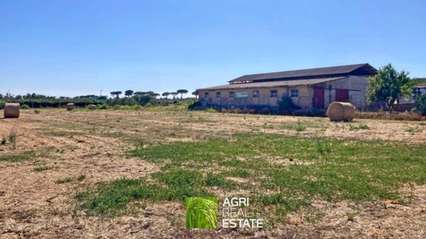 terreno agricolo in vendita a Latina in zona Borgo Carso