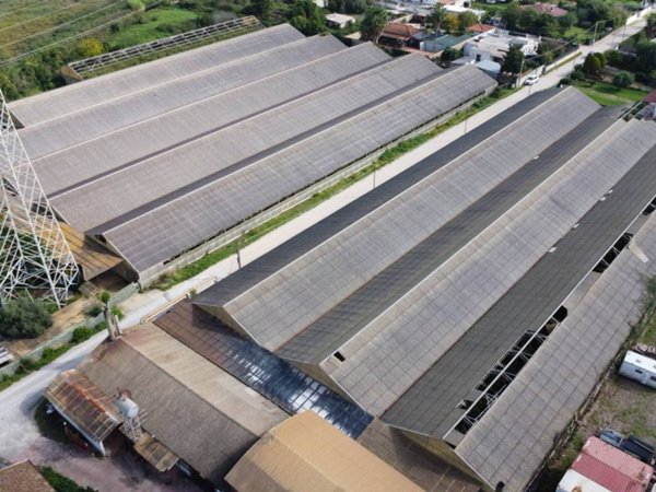 terreno agricolo in vendita a Latina in zona Borgo Santa Maria