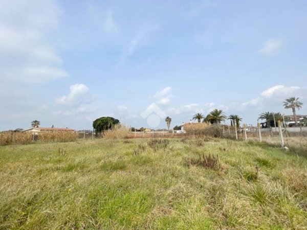 terreno agricolo in vendita a Latina in zona Foce Verde