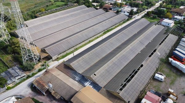terreno agricolo in vendita a Latina in zona Borgo Santa Maria