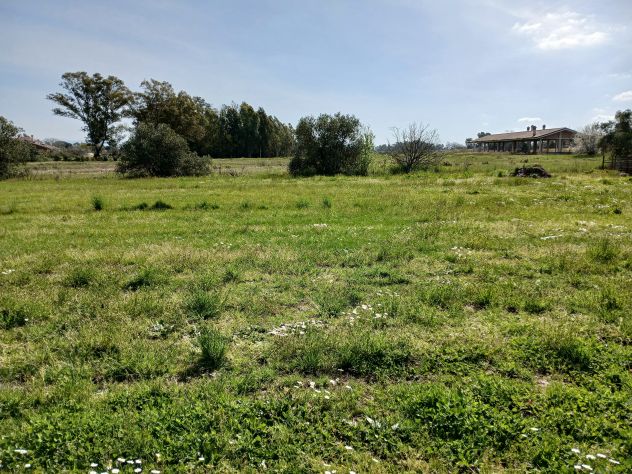 terreno agricolo in vendita a Latina