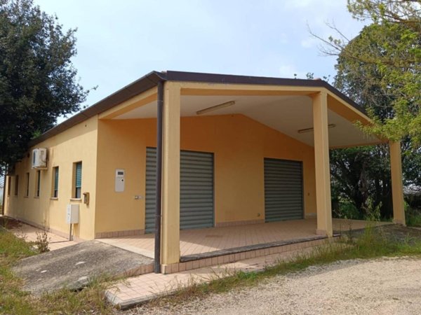 terreno agricolo in vendita a Latina in zona Latina Scalo