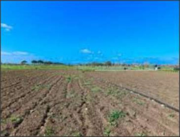 terreno agricolo in vendita a Latina in zona Borgo Sabotino