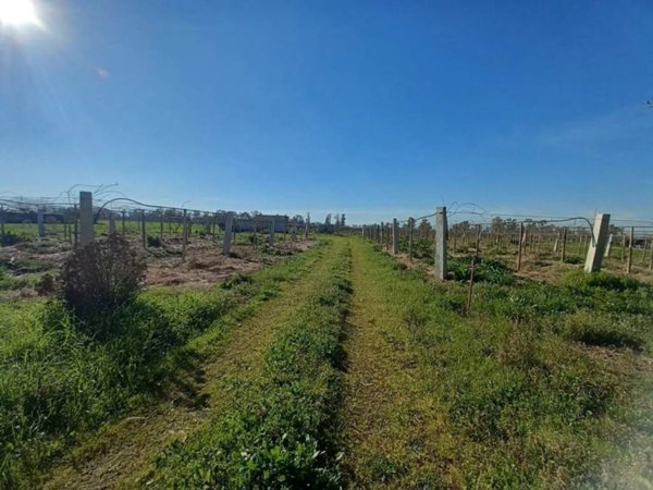 terreno agricolo in vendita a Latina in zona Latina Scalo