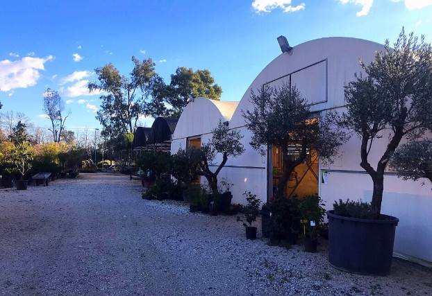 terreno agricolo in vendita a Latina in zona Borgo Piave
