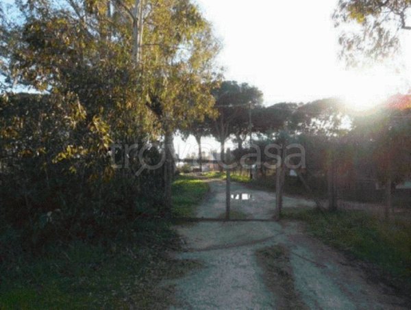 terreno agricolo in vendita a Latina