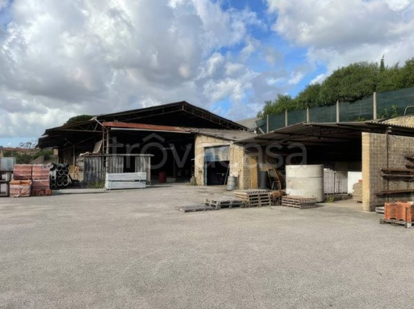 capannone in vendita a Latina in zona Borgo Montello
