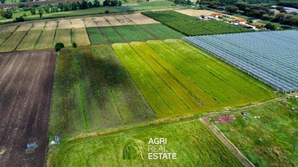 terreno agricolo in vendita a Latina in zona Borgo Carso