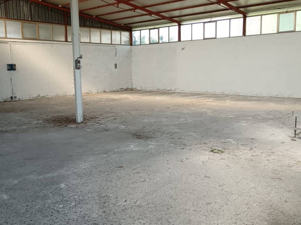 quadrivano in vendita a Latina in zona Borgo San Michele