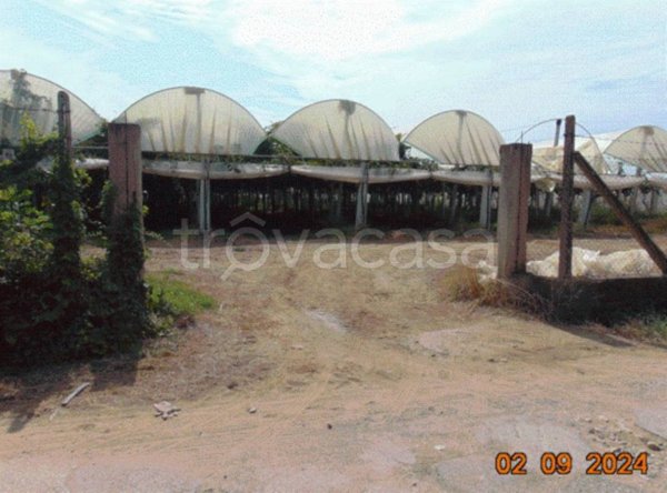 terreno agricolo in vendita a Latina in zona Centro Città