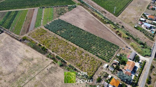 terreno agricolo in vendita a Latina