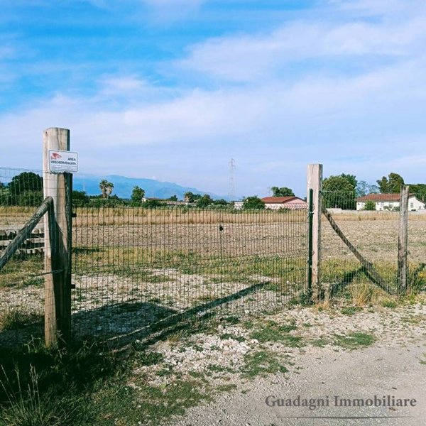 terreno agricolo in vendita a Latina in zona Borgo Piave