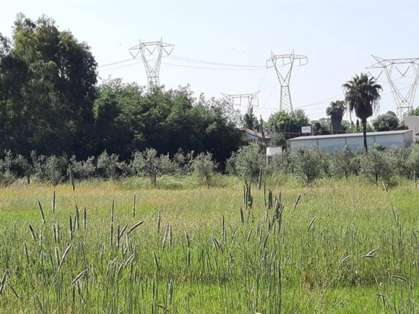 casa indipendente in vendita a Latina in zona Borgo Santa Maria
