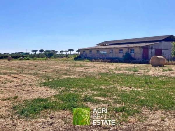 terreno agricolo in vendita a Latina in zona Borgo Carso