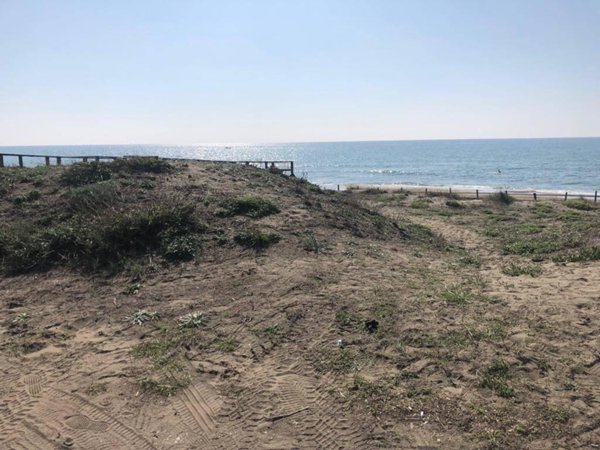 terreno agricolo in vendita a Latina in zona Fogliano