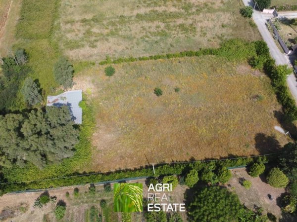 terreno agricolo in vendita a Latina in zona Centro Città