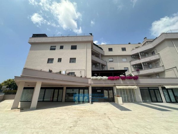 appartamento in vendita a Latina in zona Borgo San Michele