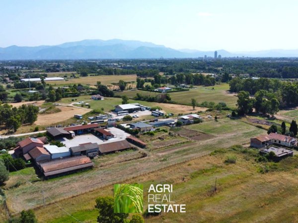 terreno agricolo in vendita a Latina in zona Borgo Podgora