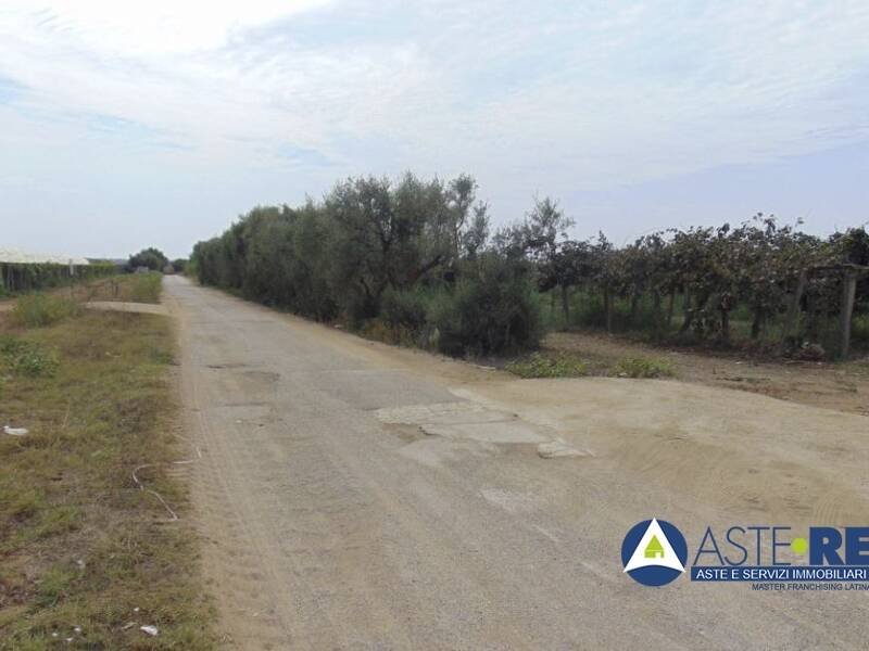 terreno agricolo in vendita a Latina