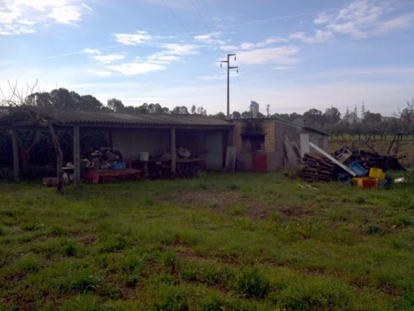 terreno agricolo in vendita a Latina