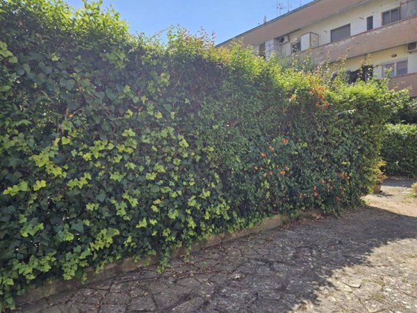 appartamento in vendita a Latina
