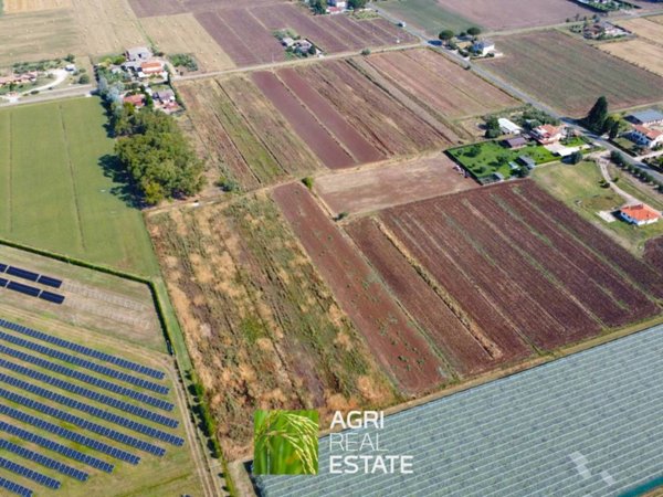 terreno agricolo in vendita a Latina in zona Borgo San Michele