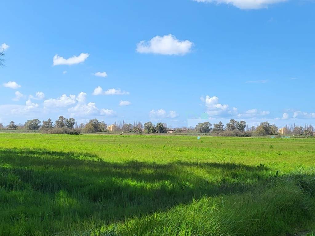 terreno agricolo in vendita a Latina in zona Foce Verde