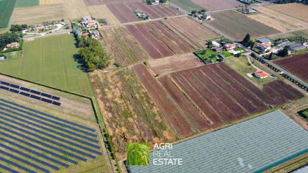 terreno agricolo in vendita a Latina in zona Borgo San Michele