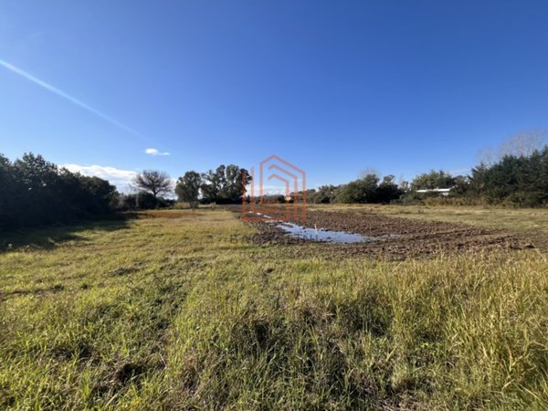terreno agricolo in vendita a Latina