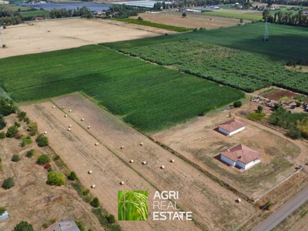 terreno agricolo in vendita a Latina in zona Borgo San Michele