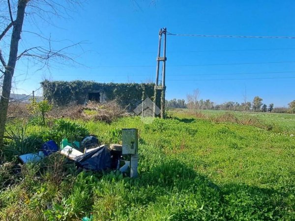 terreno agricolo in vendita a Latina in zona Borgo San Michele