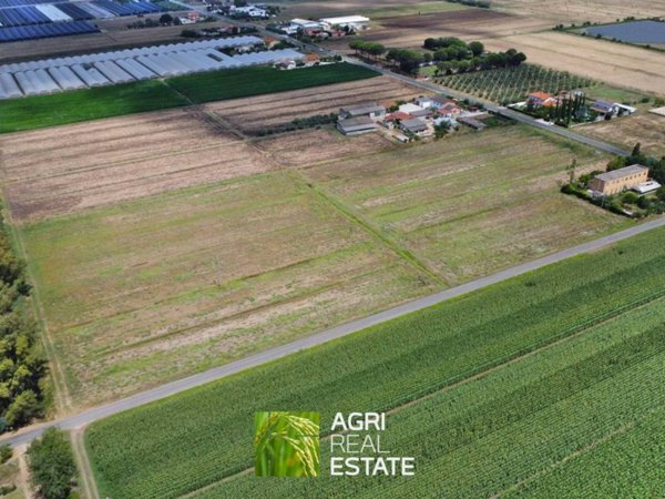 terreno agricolo in vendita a Latina in zona Borgo Grappa