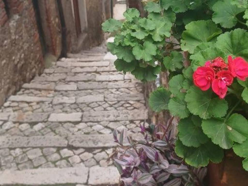 appartamento in vendita a Latina