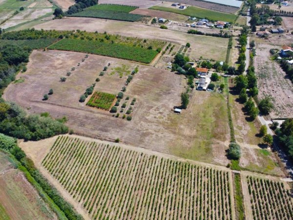 terreno agricolo in vendita a Latina in zona Acciarella