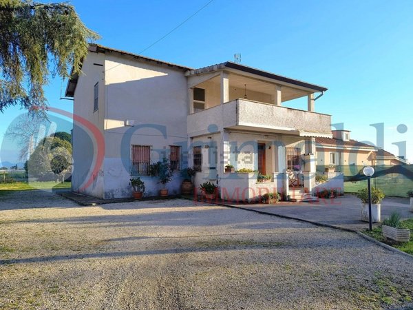 esavano in vendita a Latina