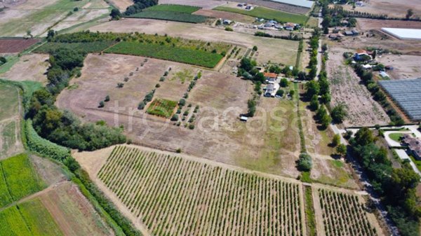 terreno agricolo in vendita a Latina in zona Borgo Montello