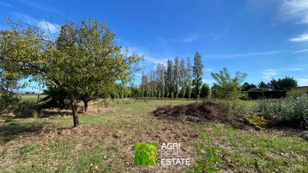 terreno agricolo in vendita a Latina in zona Foce Verde